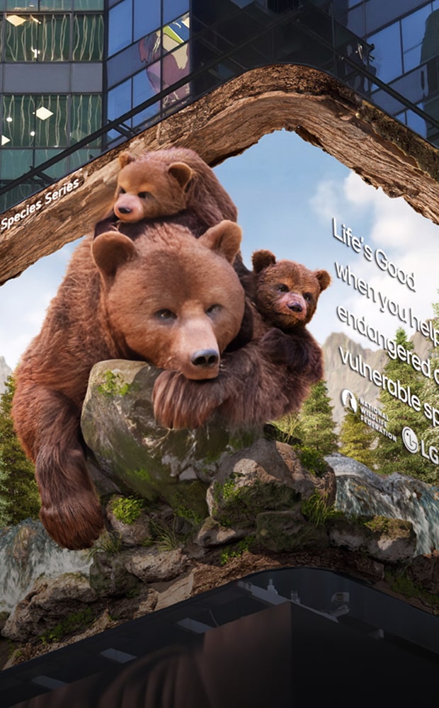 A video of the 'LG Animal Protection Campaign' featuring a brown bear was shown on the Times Square billboard in New York City.