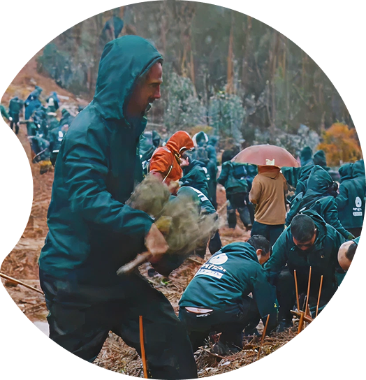 Introduction screen for the “Smart Green Trees” forest restoration program, showing participants planting trees in a forest.