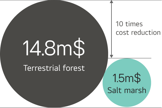 This chart compares the afforestation cost per unit area (1 km²) between terrestrial forest and salt marsh. The cost of terrestrial afforestation is about 14.8 million USD, while salt marsh afforestation costs about 1.5 million USD, showing roughly a tenfold difference. This result indicates that salt marsh afforestation is a highly cost-effective option.