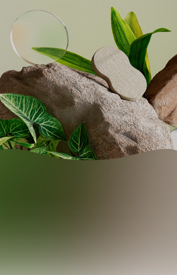 An image featuring a three-dimensional arrangement of rocks, plants, and objects against a light green background. Green leaves extend around a large, rough-textured gray rock in the center, with a transparent circular glass plate and a small oval-shaped object resting on top.