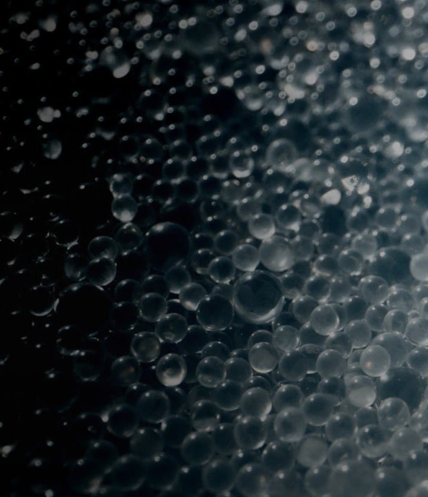 A close-up of LG Marine Balance™ beads that release targeted mineral ions to support the growth of microalgae and seaweed, contributing to biodiversity.