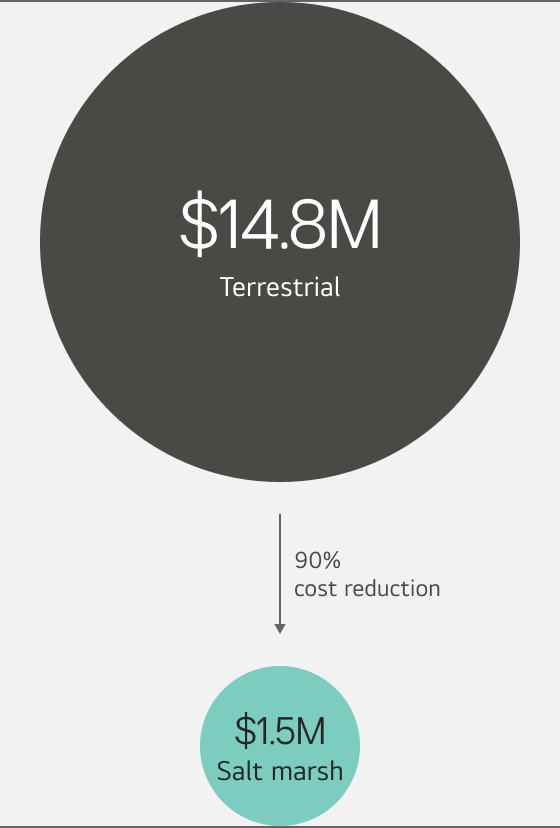 A bubble chart comparing afforestation cost per unit area (1 km²) between salt marsh and terrestrial forest. Terrestrial forest costs 14.8m$ and salt marsh costs 1.5m$, showing that salt marsh afforestation is approximately 10 times more cost-effective than terrestrial forest.