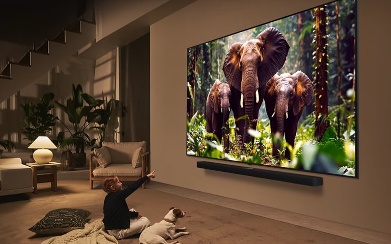 LG OLED TV in the living room