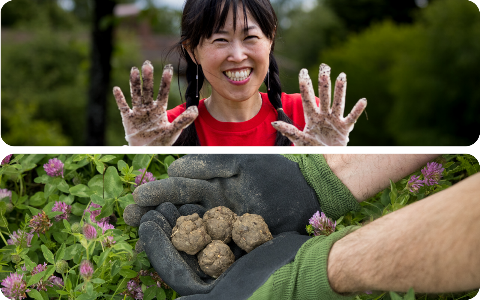 LG Electronics corporate social responsibility LG Sweden SeedBalls