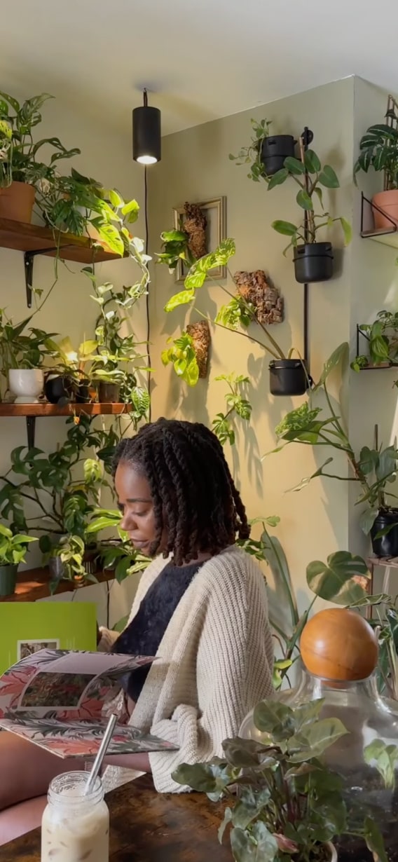 Person reading a book in a cozy, plant-filled room, radiating warmth and tranquility.