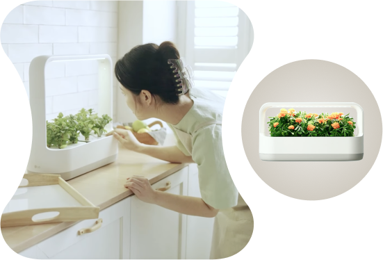 In the kitchen of bright lighting, the woman looking at LG tiiun mini is seen.