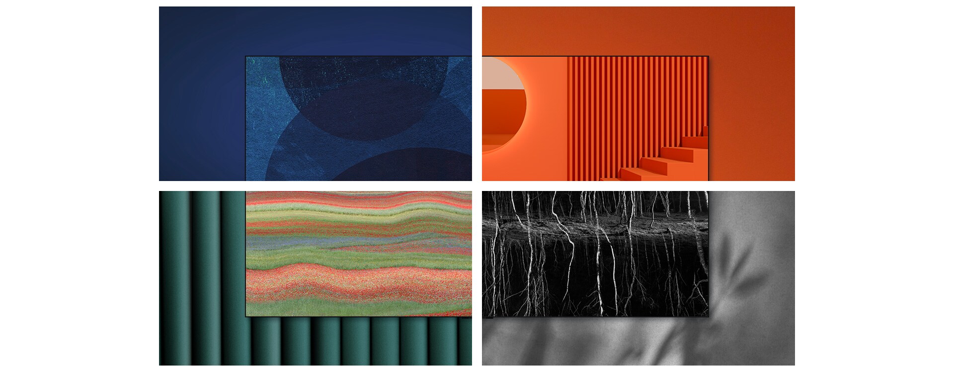 An artwork is shown on the LG OLED television and then is split into quarters, each showing a different artwork against a different colored wall