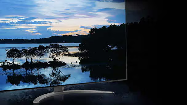 Full Array Dimming Intense Contrast