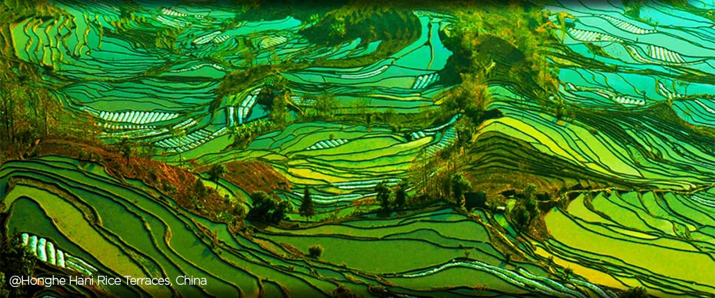 LG nanocell wide Angle Viewing