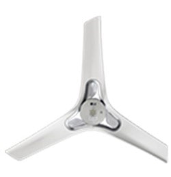 LG fan