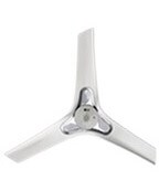 LG fan