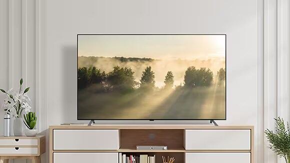 LG OLED A2 is in a bright white room with wooden details and greenery