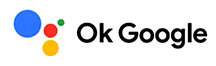 Logo OK Google