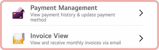 Payment button highlighted with red border
