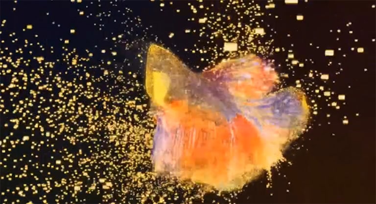 Na televizní obrazovce se zobrazí logo LG QNED Mini LED, následované malými, třpytivými body uskupujícími se v obraz ryby bojovnice pestré (přehrajte si video).