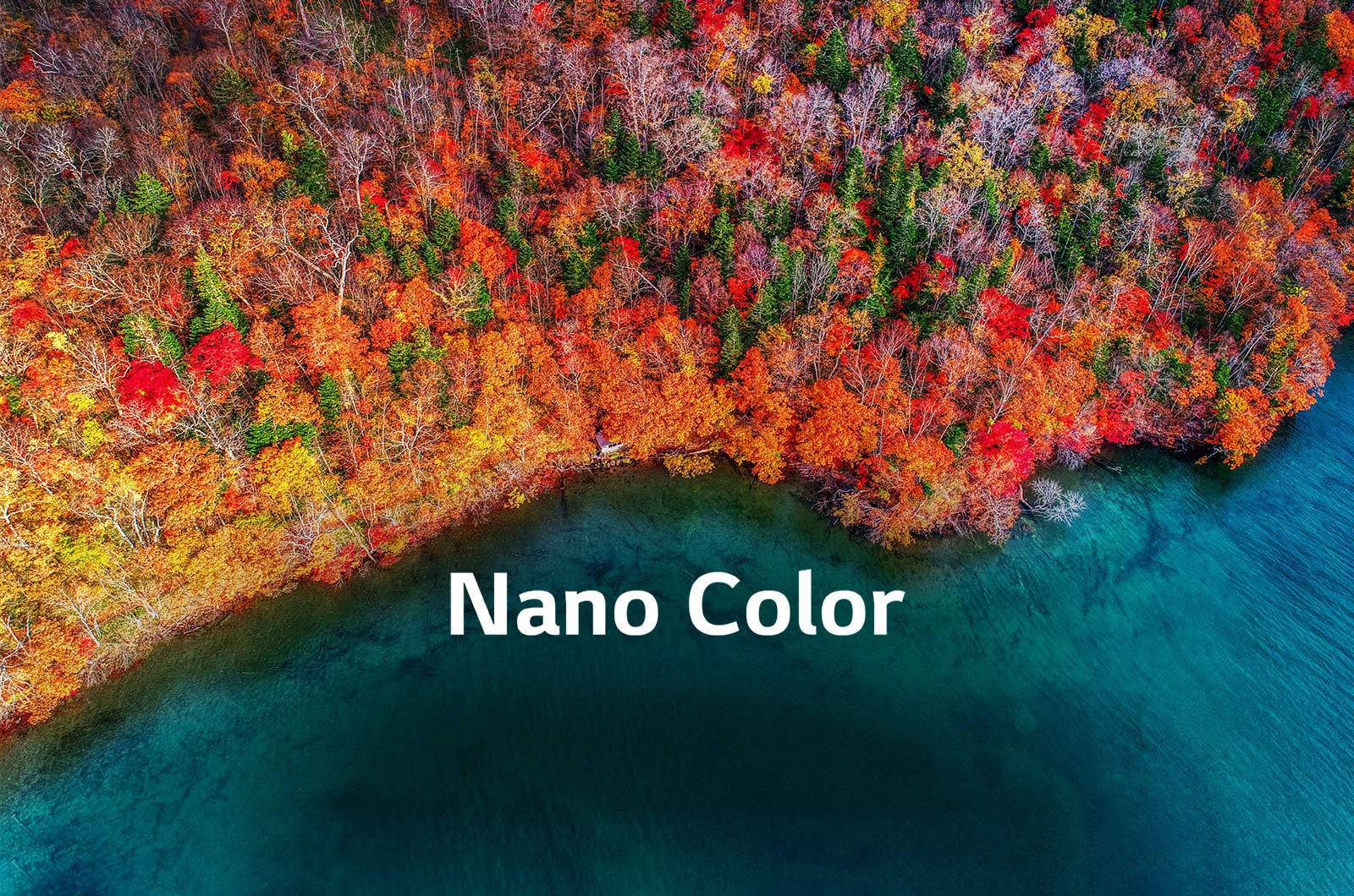 TV-NanoCell-SM85-02-Nano-Color-Desktop-011