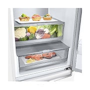 LG Kombinovaná chladnička LG | C (v rozsahu A až G) | Hrubý objem 374 l | 171 kWh/rok | LG Smart Invertorový kompresor | Total no frost™ | Door cooling | Fresh Balancer, GBB71SWVCN1, GBB71SWVCN1, thumbnail 4