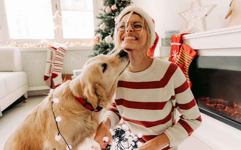 A dog licking their owners chin whilst surrounded by Christmas decorations