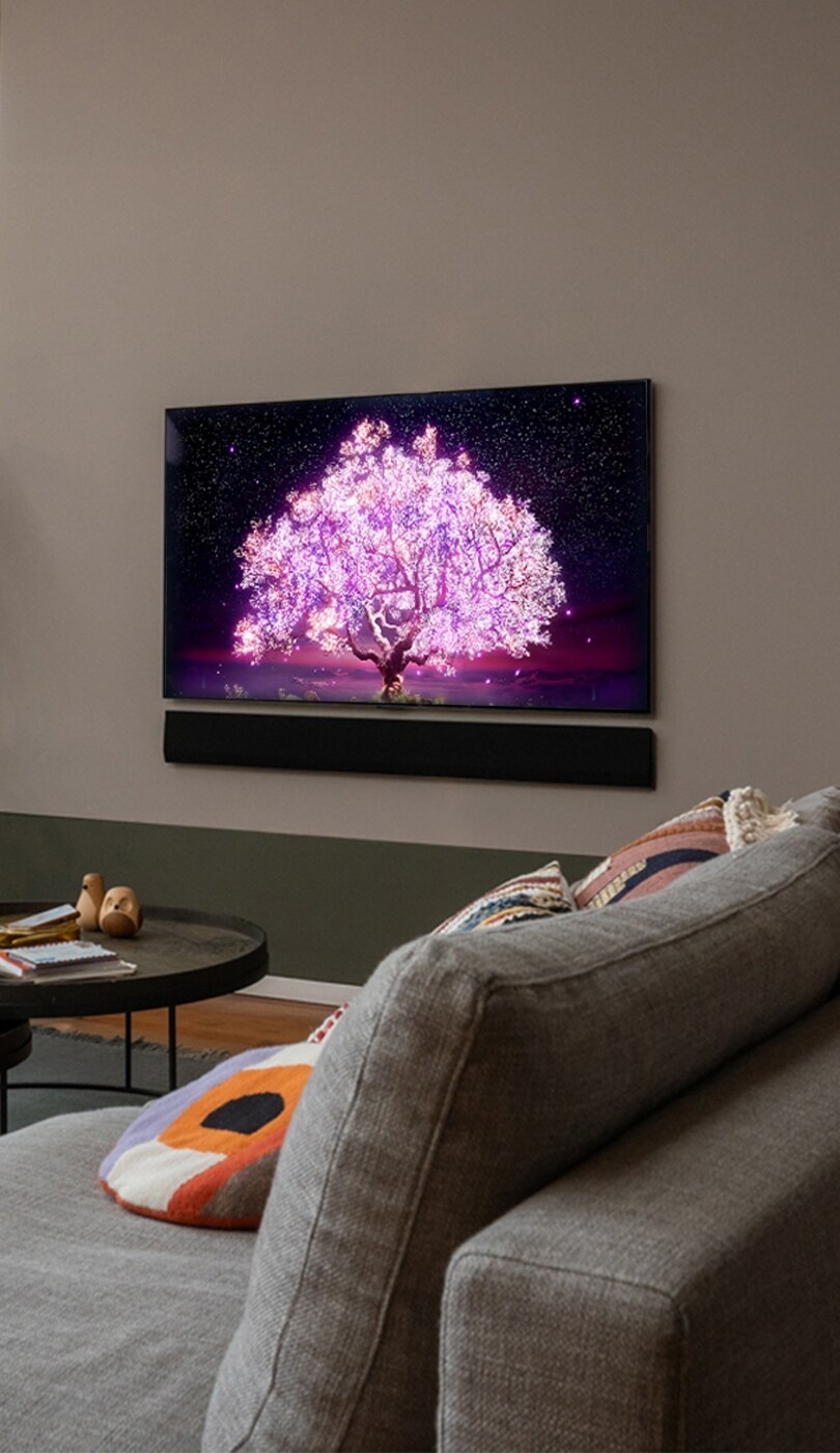 An image of a living room with LG OLED tv mounted on the wall.