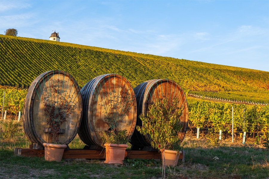 Drei Fässer vor einem Weingut im Rheingau.