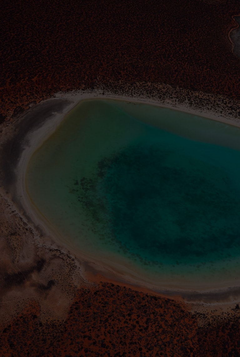 Bird's-eye view of Shark Bay.