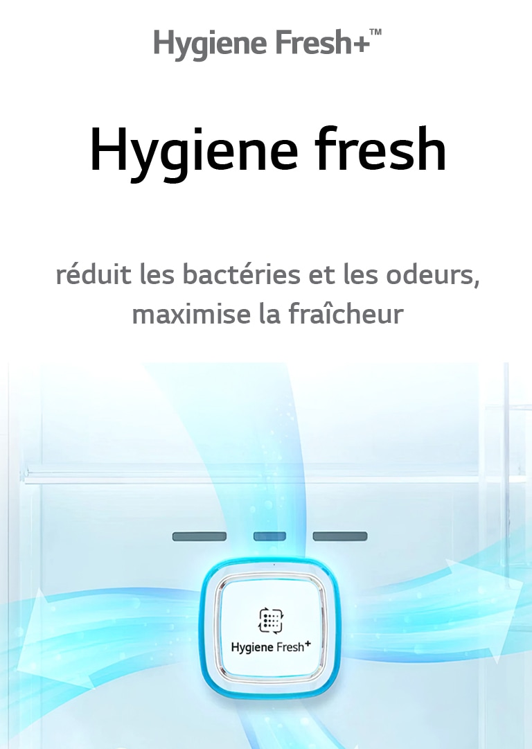REF Hygiène fresh