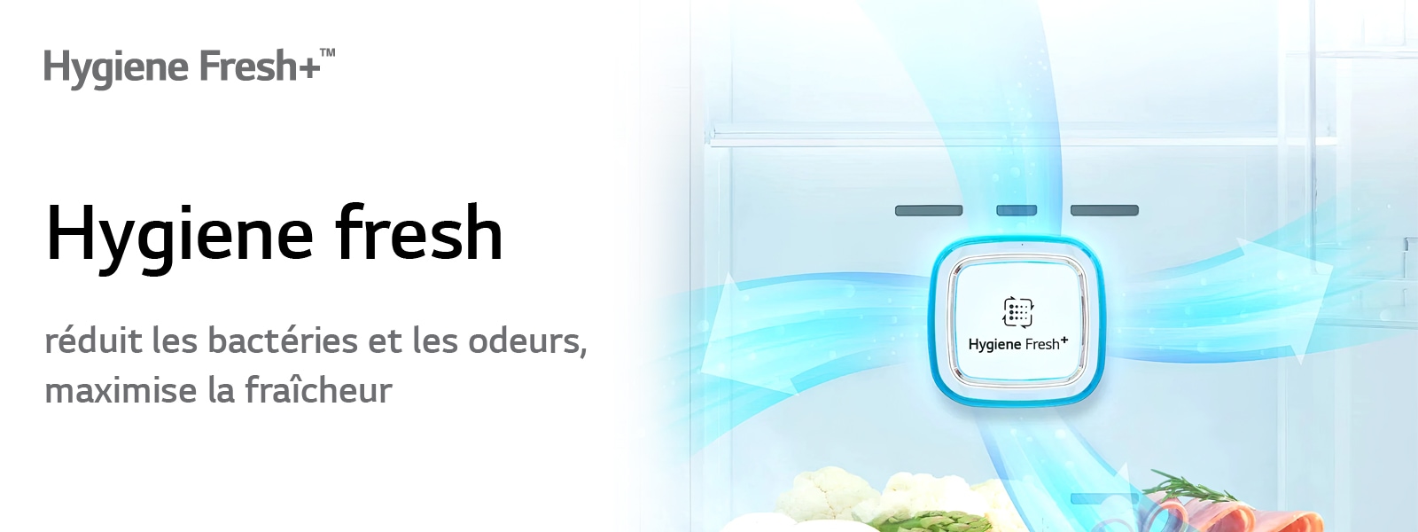 REF Hygiène fresh