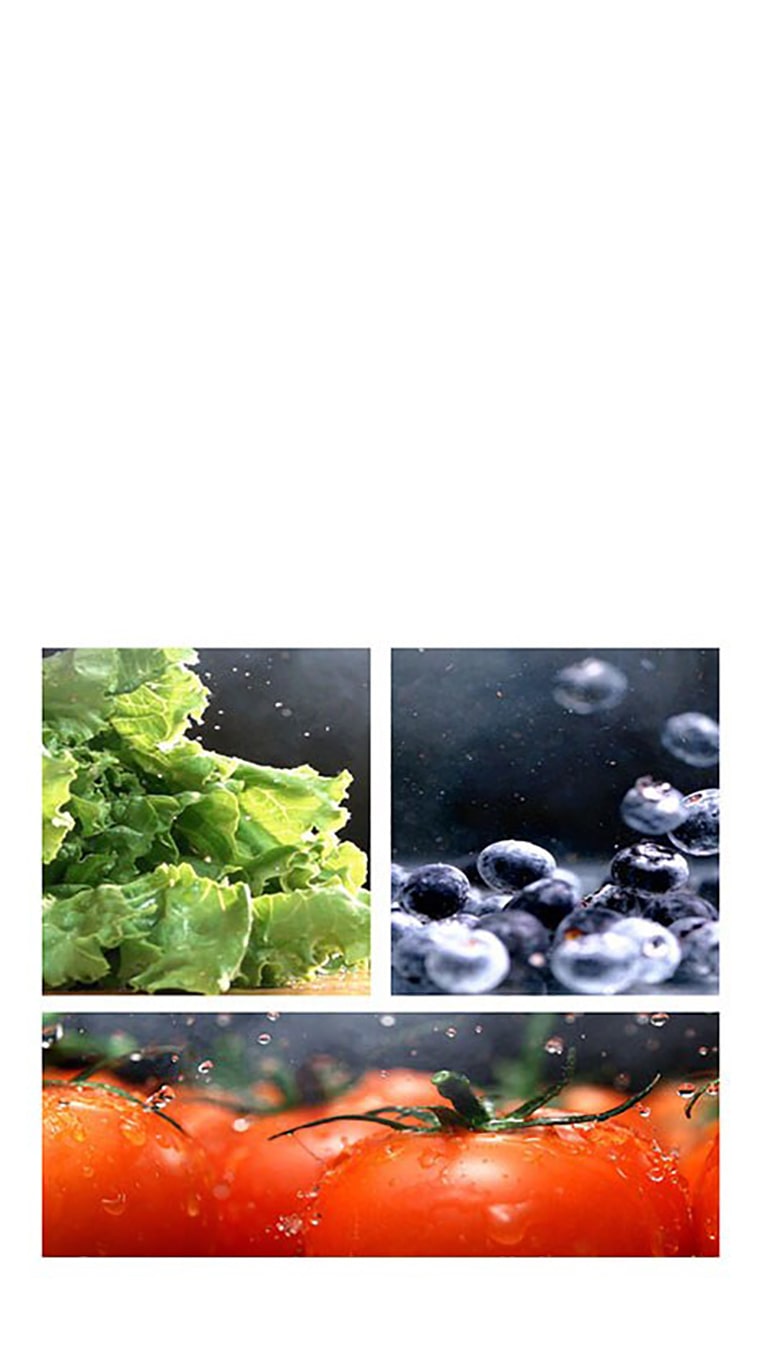 Préserve la qualité de vos aliments frais plus longtemps6