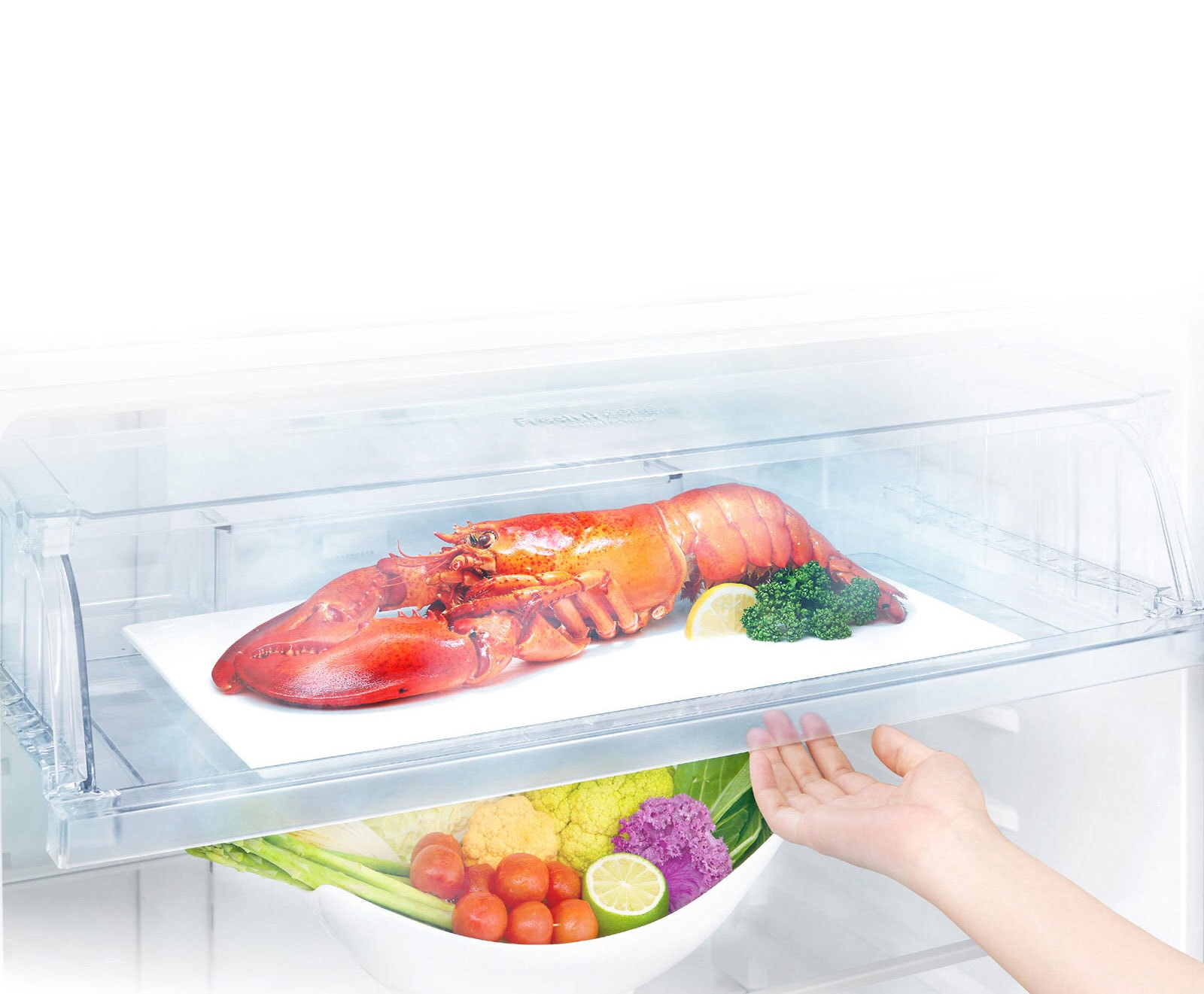 Gagnez du temps pour la décongélation3