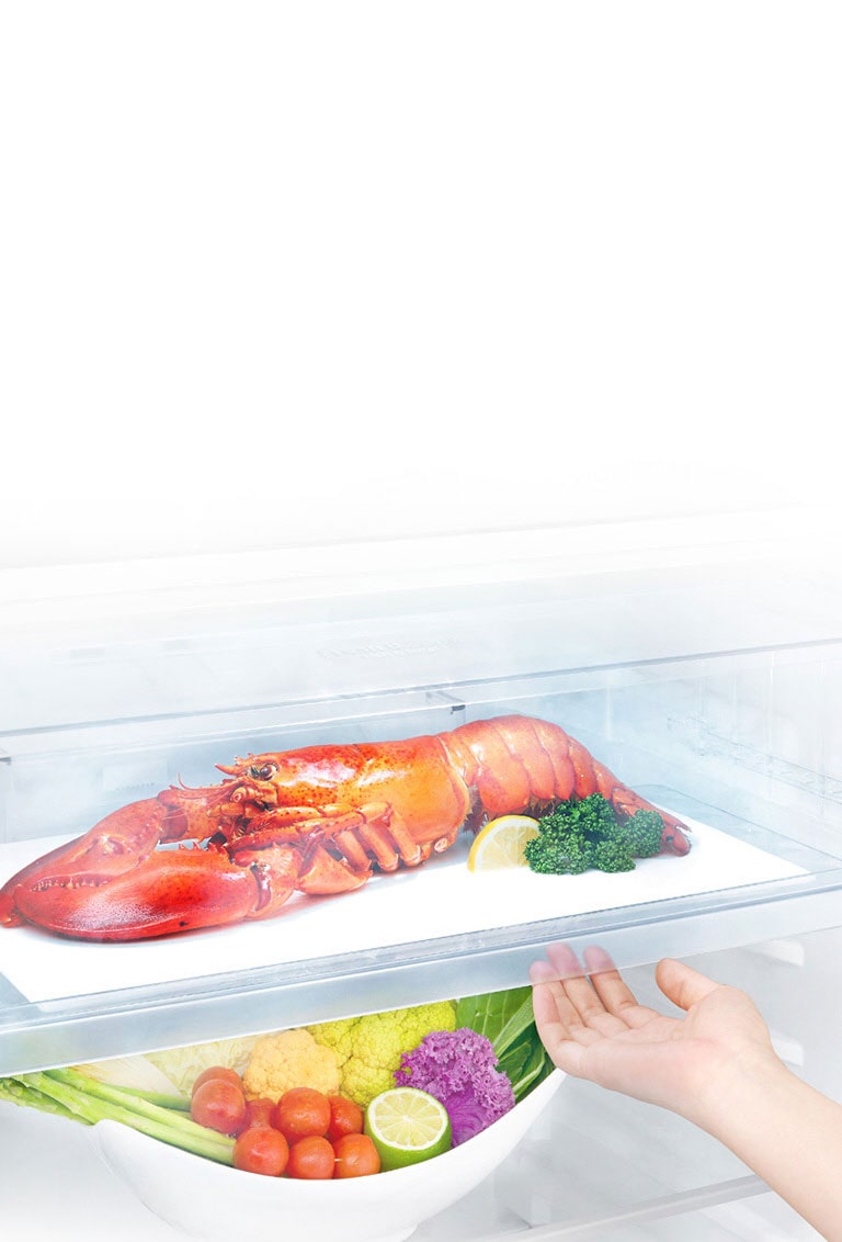 Gagnez du temps pour la décongélation4