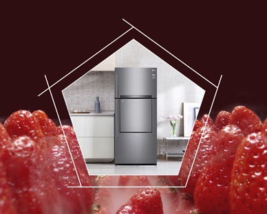 REF-NatureFRESH-LinearTF-01-Story-05-Small-Thumb02-D