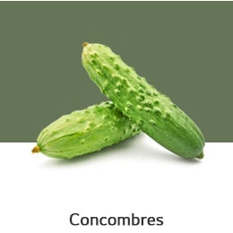 REF-NatureFRESH-LinearTF-03-UsefulTips-04-5-Cucumbers