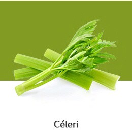 REF-NatureFRESH-LinearTF-03-UsefulTips-04-7-Celery