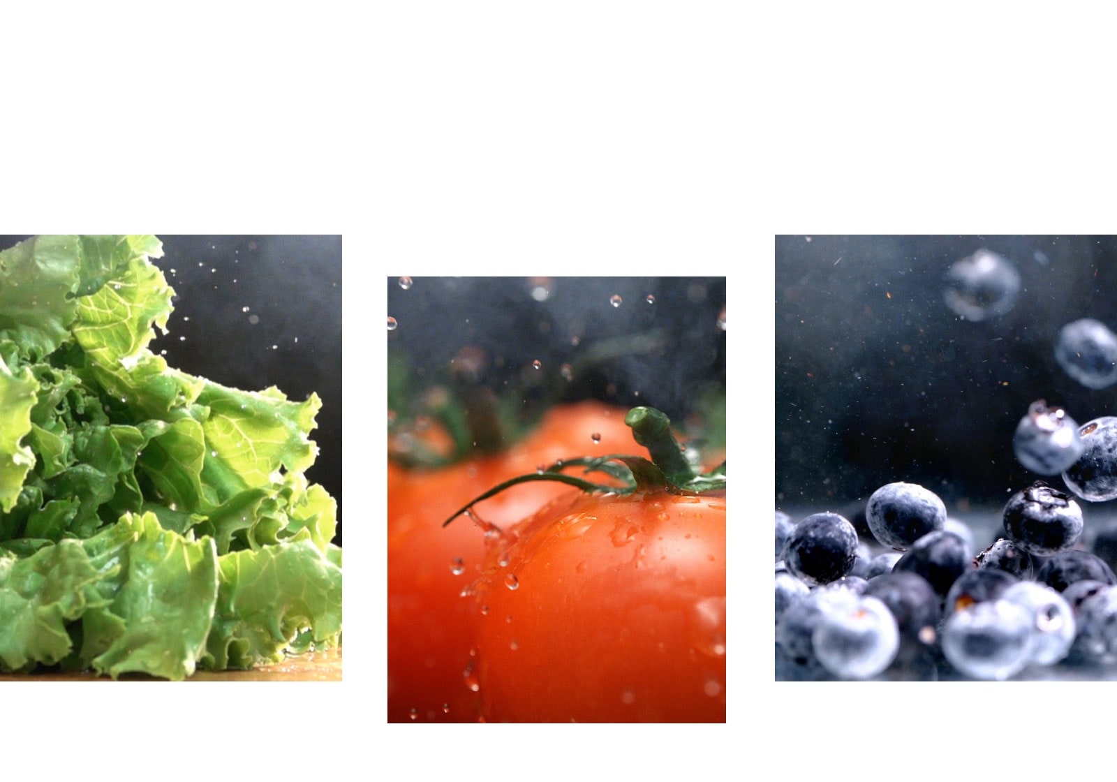 Préserve la qualité de vos aliments frais plus longtemps