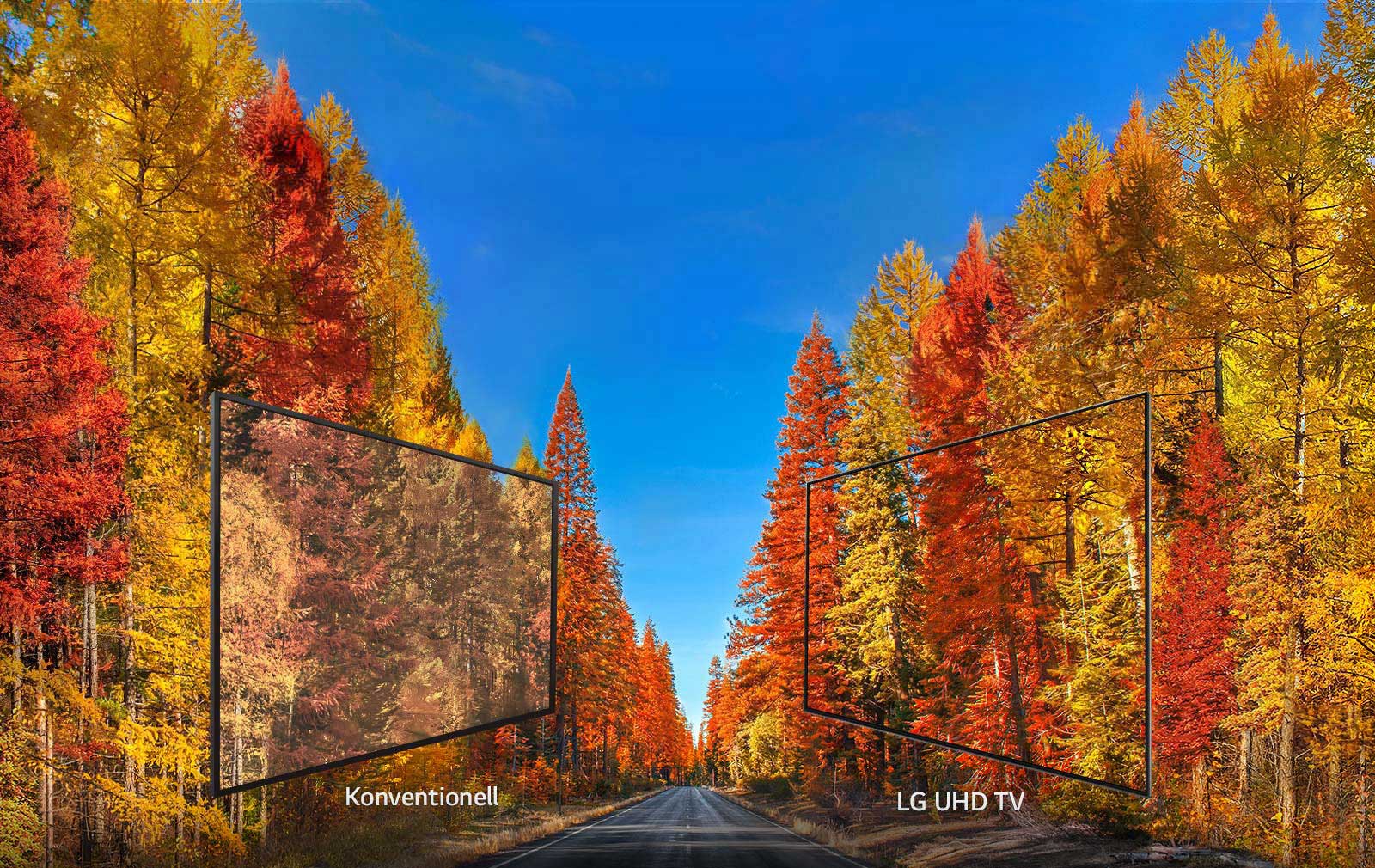 Couleurs riches sous tous les angles<br>1