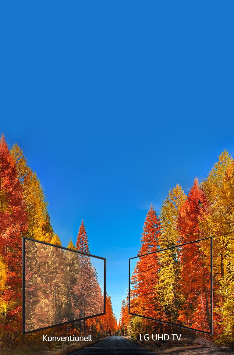 Couleurs riches sous tous les angles<br>2