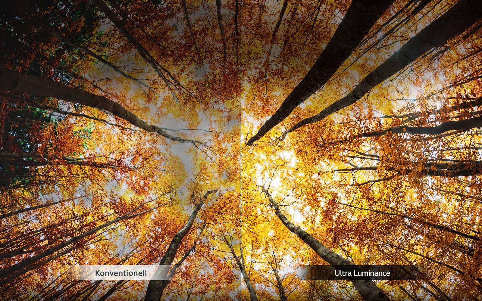 Luminance renforcée<br>1