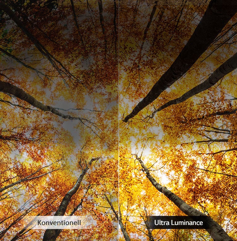 Luminance renforcée<br>2