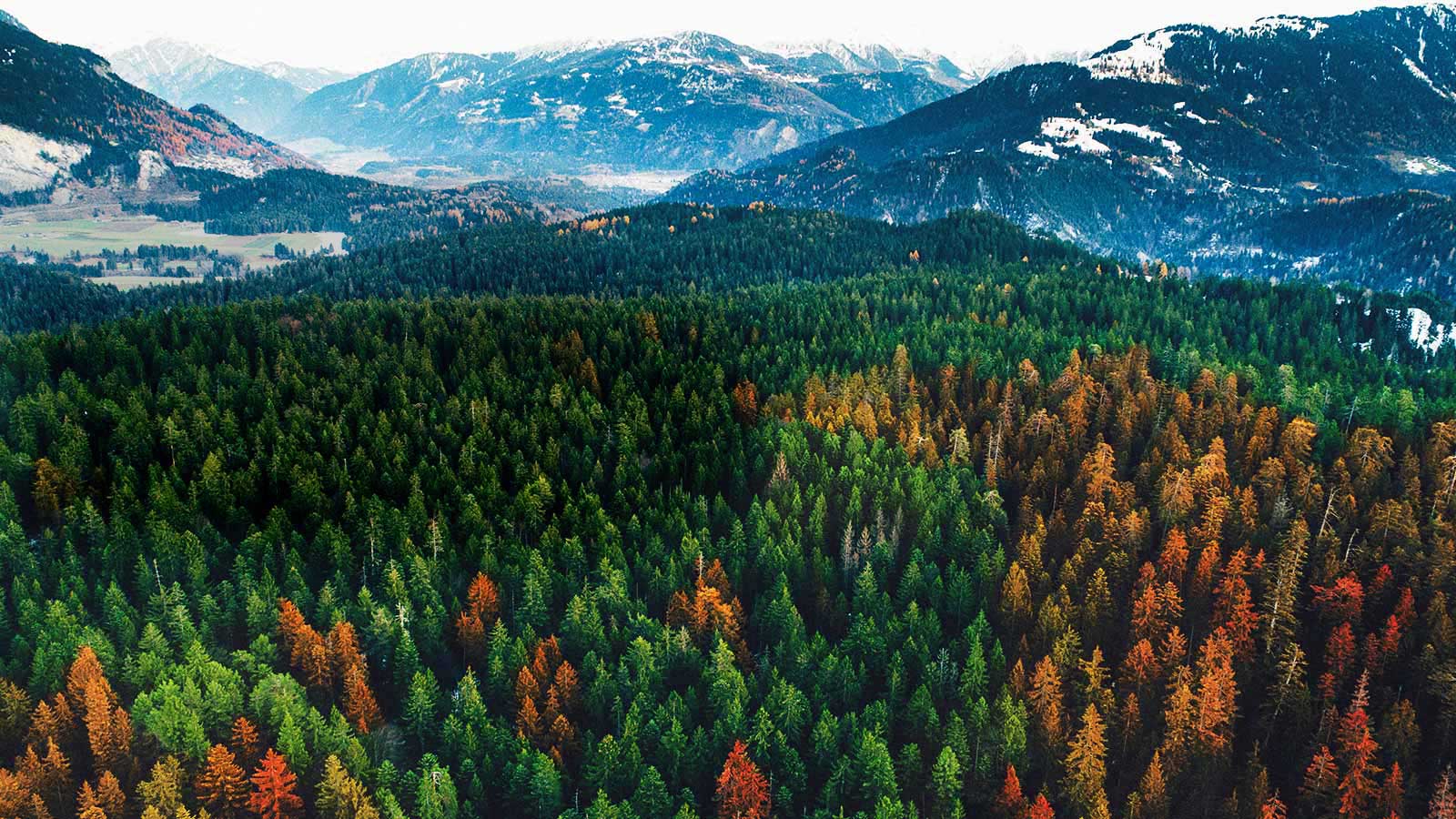 <br>Plus de puissance de traitement1