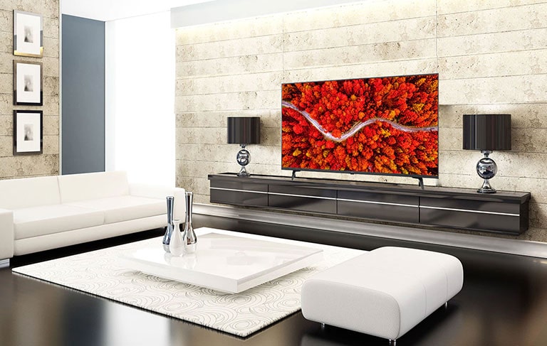 Un salon luxueux, avec un téléviseur affichant une vue aérienne de forêts en rouge.