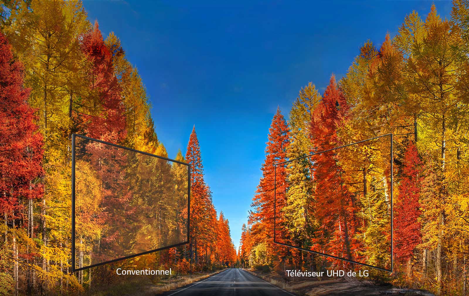 Couleurs riches sous tous les angles<br>1