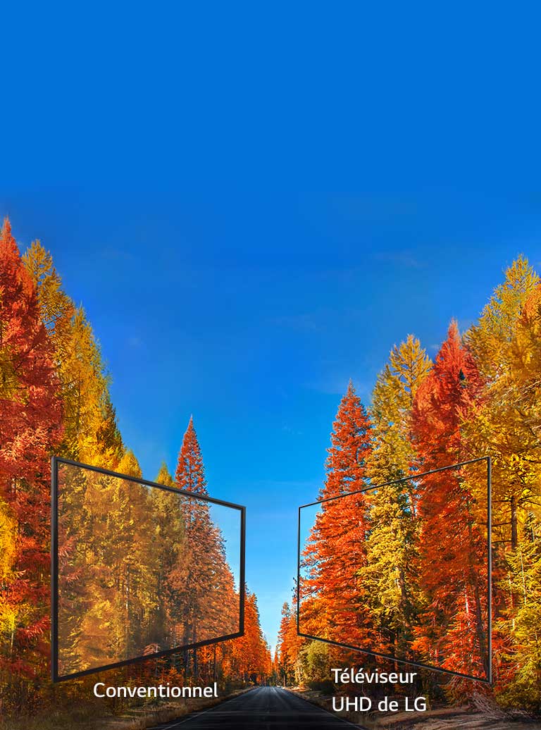 Couleurs riches sous tous les angles<br>2