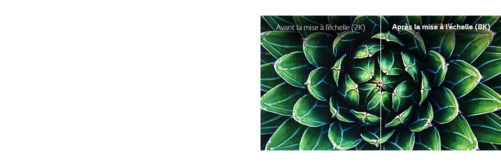 Deux images sont affichées, l’une avant et la seconde après le passage à la définition 8K. L’image avant l'amélioration en 8k est floue.