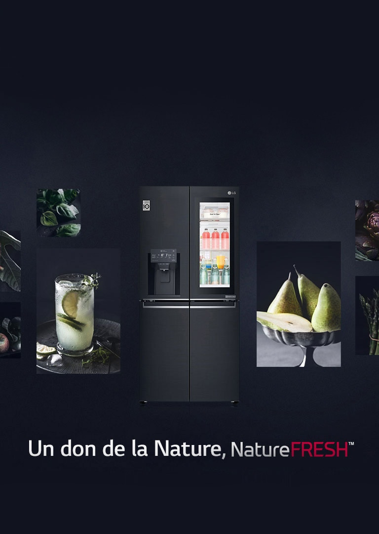 LG Réfrigérateurs InstaView Door-in-Door™ multi-portes, Compresseur  Linéaire Inverter, 635 L, DoorCooling+, Hygiene Fresh+™, ThinQ