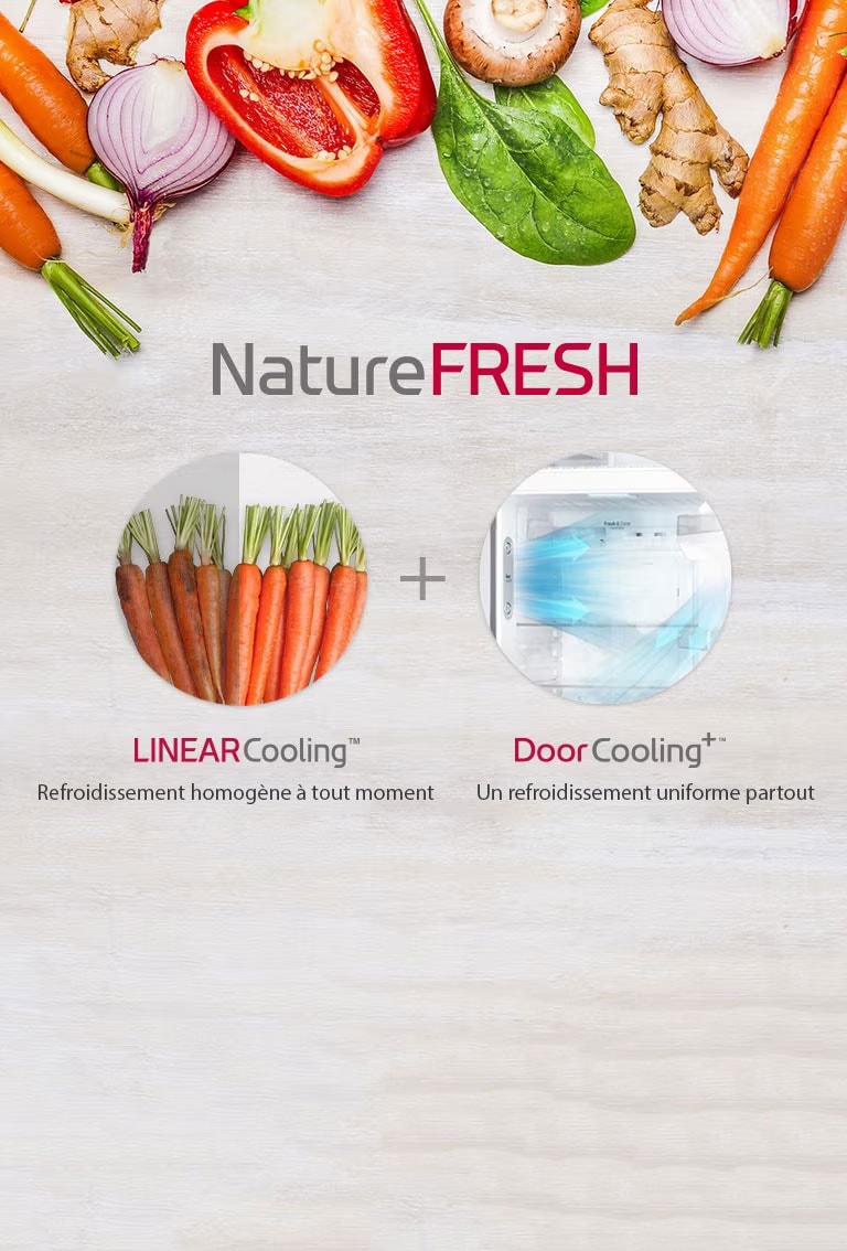 «Comment conserver la fraîcheur de nos aliments plus longtemps?»<br>«La solution est un contrôle précis de la température».<br>