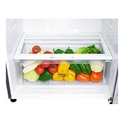 LG Réfrigérateur 2 portes | Noir | 469L | NatureFRESH™ | DoorCooling+™ | LINEARCooling™ | SmartThinQ™, GN-C71HLCL, thumbnail 3