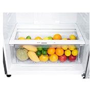 LG 2 Portes | 506L | No Frost | Door Cooling+™ , GN-C72HLCL, thumbnail 4