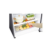 LG 2 Portes | 504L | No Frost | Hygiene Fresh+™ | Affichage Externe, LG GN-F71HLHU Detail view 7, GN-F72HLHL, thumbnail 11