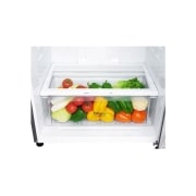LG 2 Portes | 506L | No Frost | Door Cooling+™, GN-E62BLCL, thumbnail 3