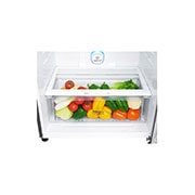 LG Refrigerateur 2 Portes | 504L | Door Cooling+™ | Affichage Externe | No Frost, LG GN-F71HLHU Detail view 6, GN-G62BLHL, thumbnail 10